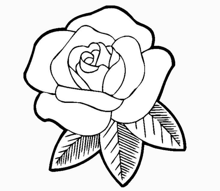 玫瑰花简笔