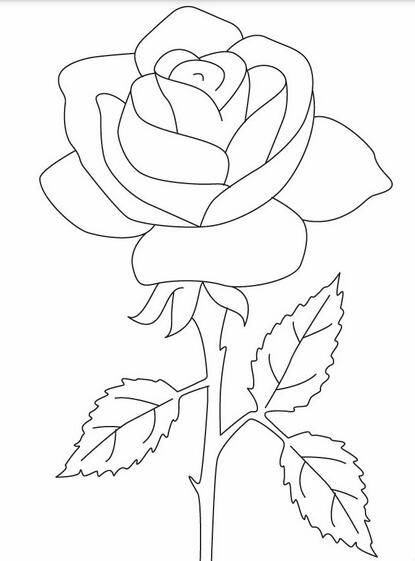 玫瑰花简笔