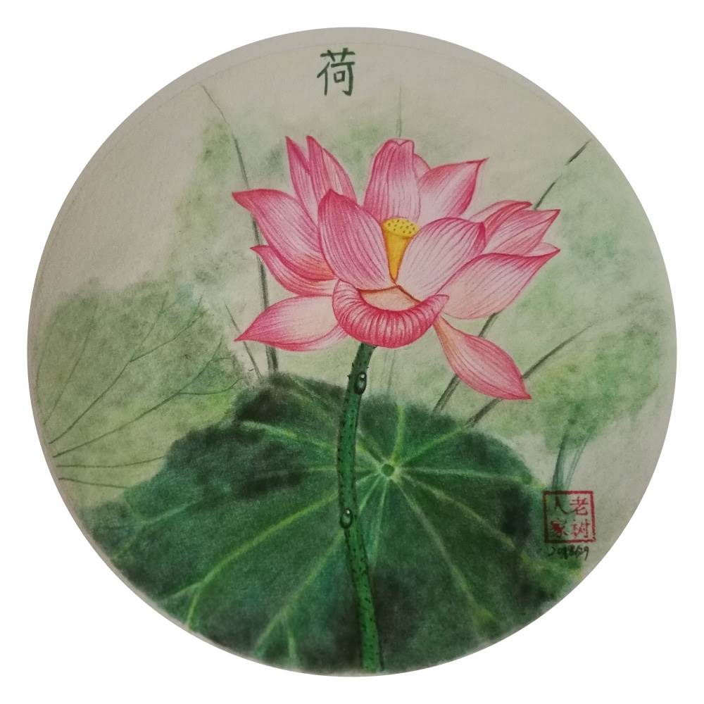 荷花的画