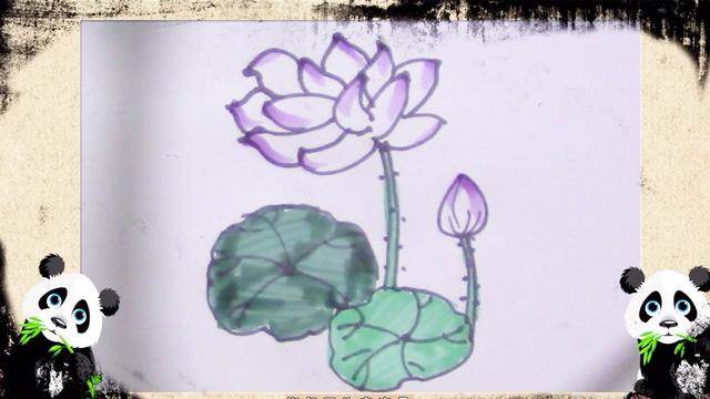 荷花的画