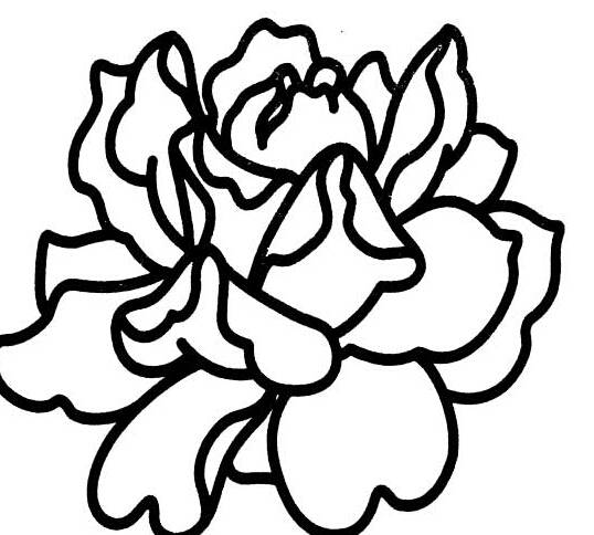 花朵儿童画