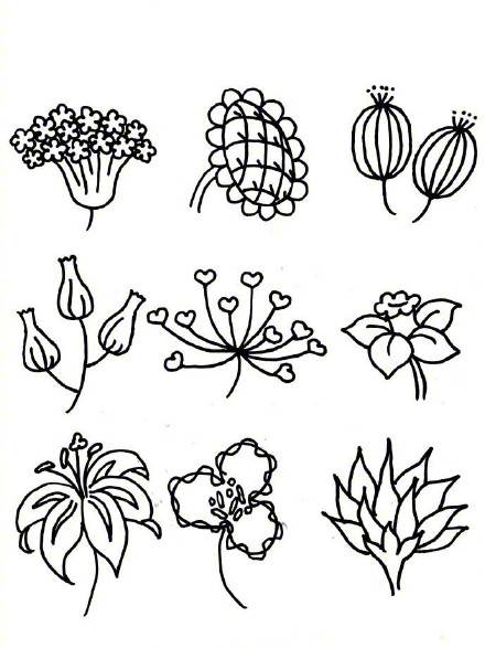 花朵画法大全