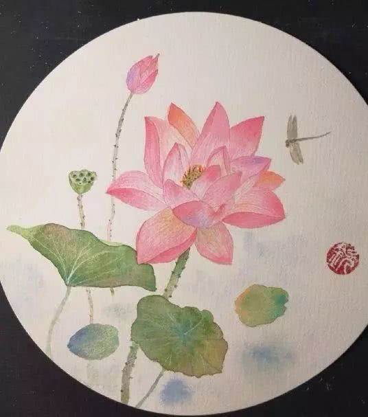 莲花画
