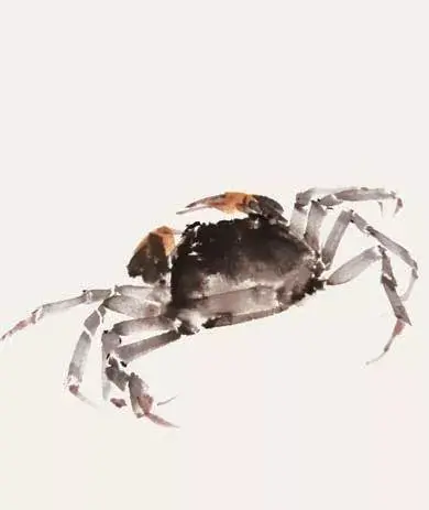 最新螃蟹画