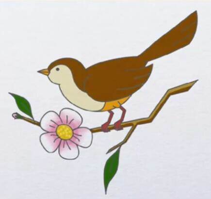 简单画鸟
