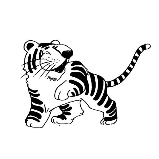 老虎 简笔画
