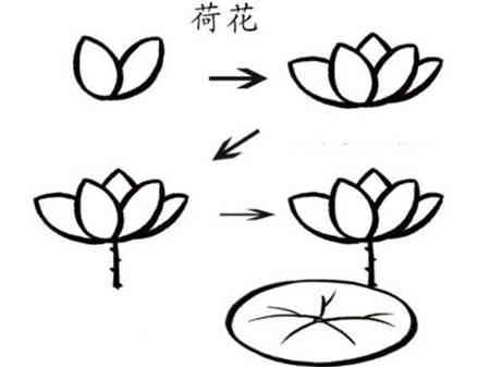 荷花简笔画