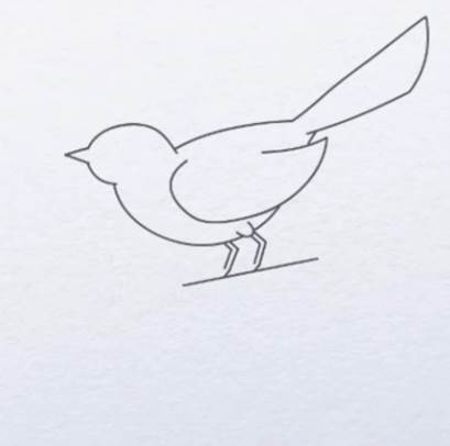 简单画鸟