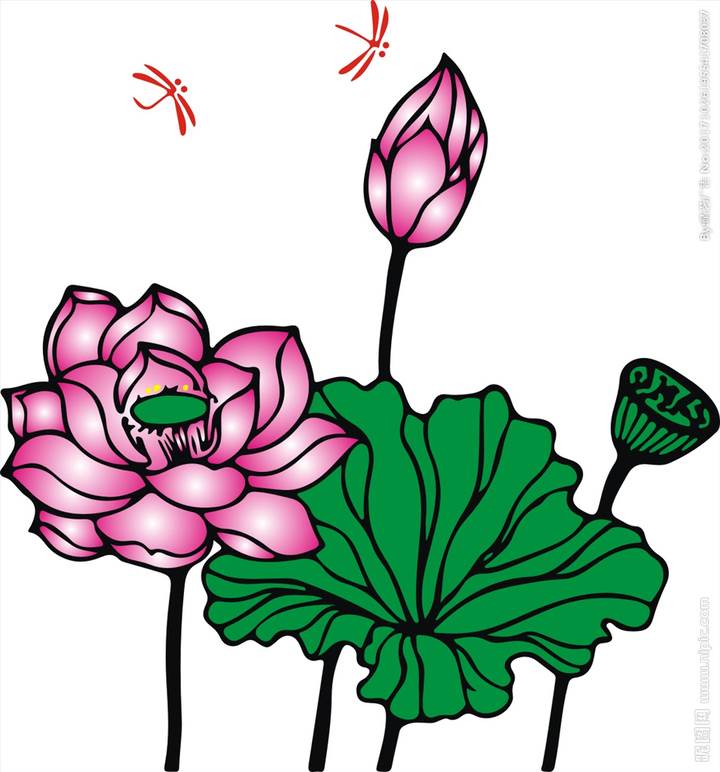 荷花简笔画