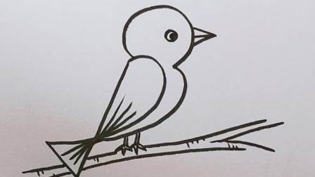 简单画鸟