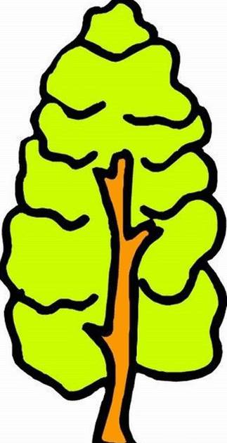 树 简笔画