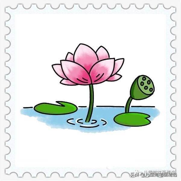 荷花简笔画