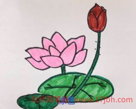 荷花简笔画