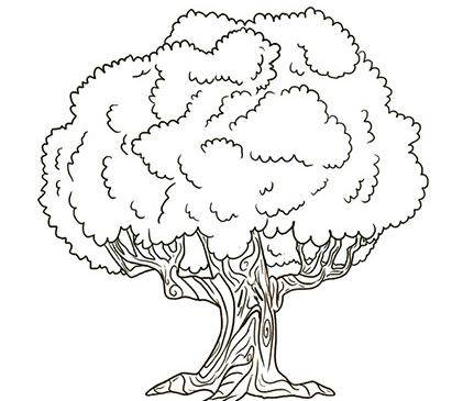 树 简笔画