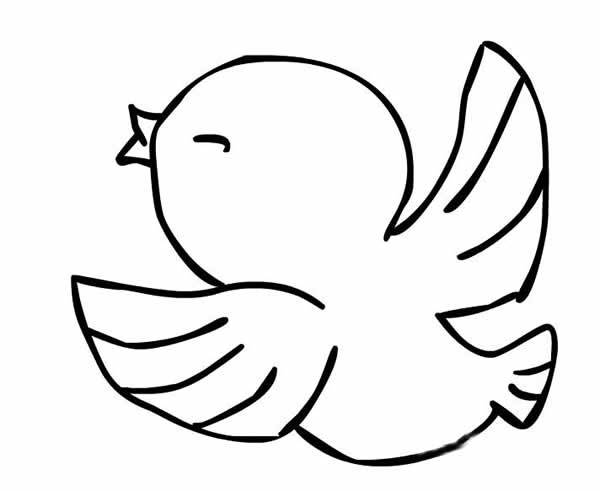 简笔画小鸟