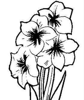 花 简笔画
