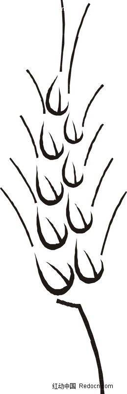 麦穗简笔画