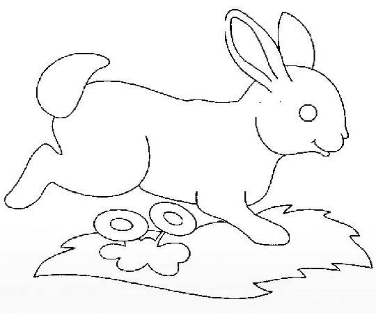 兔子的简笔画