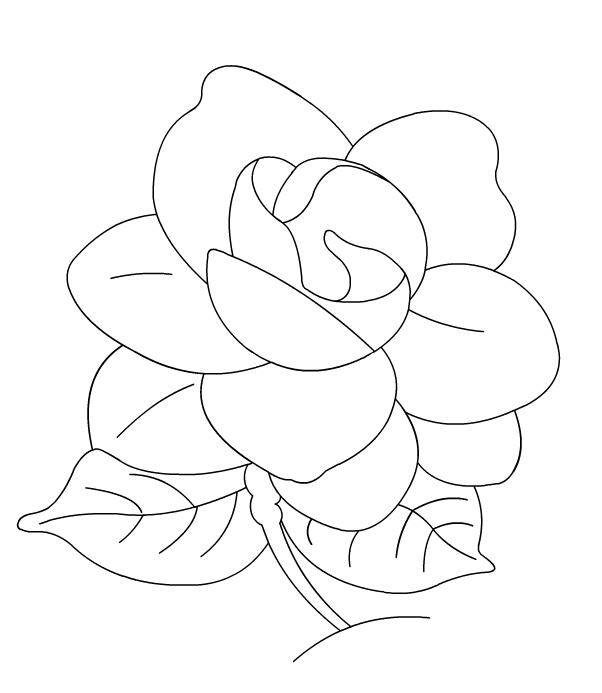 花 简笔画