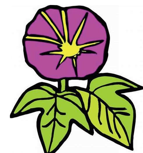 简笔画 花
