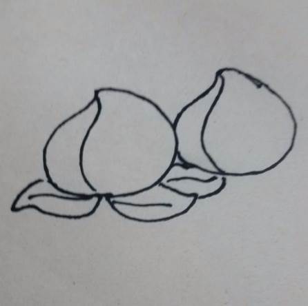 桃子简笔画