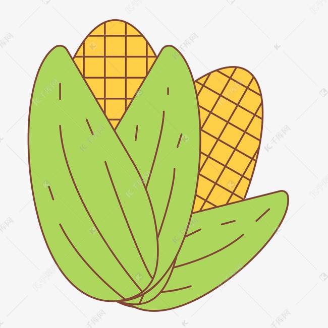 玉米简笔画