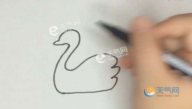 鹅的简笔画