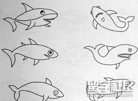 鲨鱼简笔画