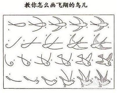 鸟简笔画