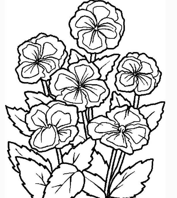 简笔画 花
