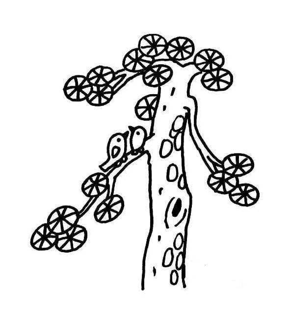 松树 简笔画