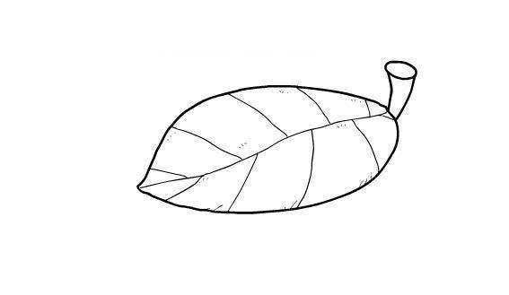 树叶简笔画