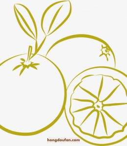 橘子简笔画