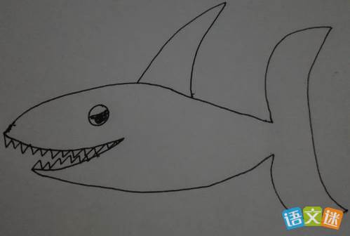 鲨鱼简笔画