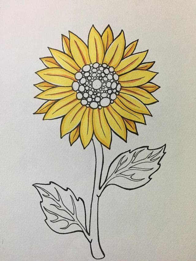 向日葵简笔画