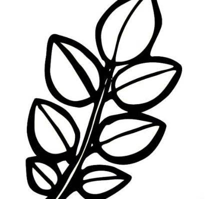 树叶简笔画