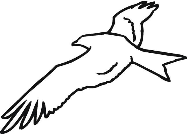 老鹰简笔画