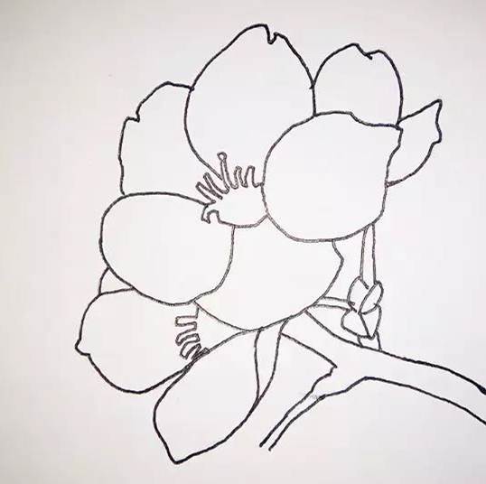 桃花 简笔画