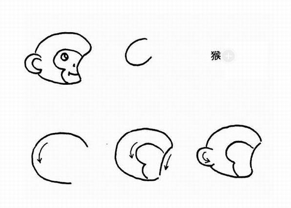 猴子简笔画