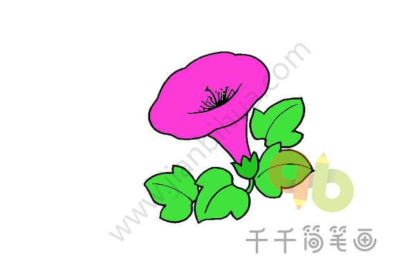 牵牛花简笔画