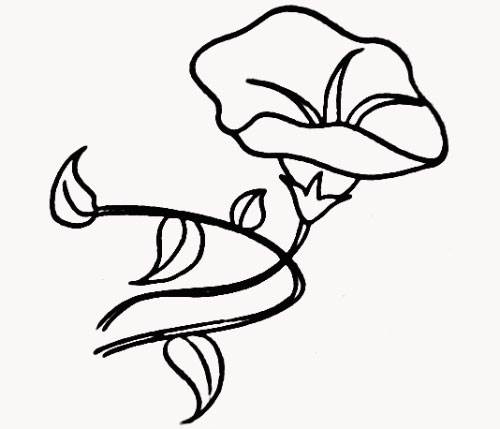 牵牛花简笔画
