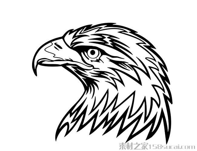 老鹰简笔画