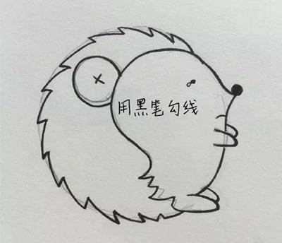 刺猬 简笔画
