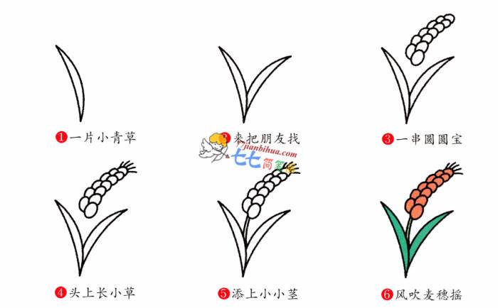 麦穗简笔画
