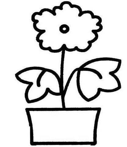 小花 简笔画