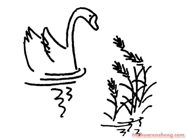 鹅 简笔画