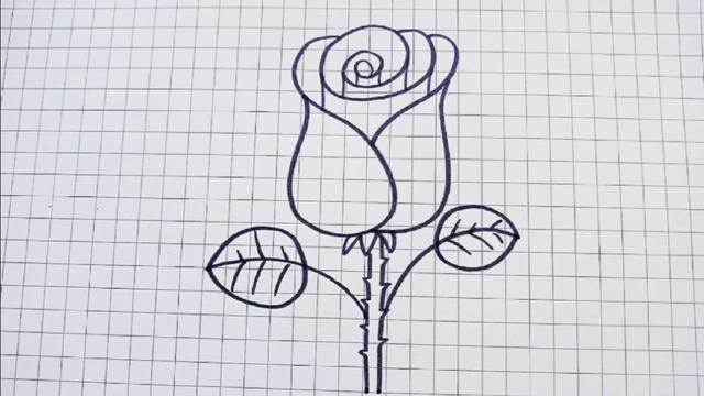 玫瑰简笔画