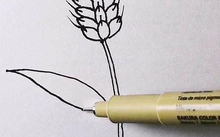 麦穗简笔画