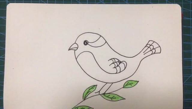 简笔画小鸟