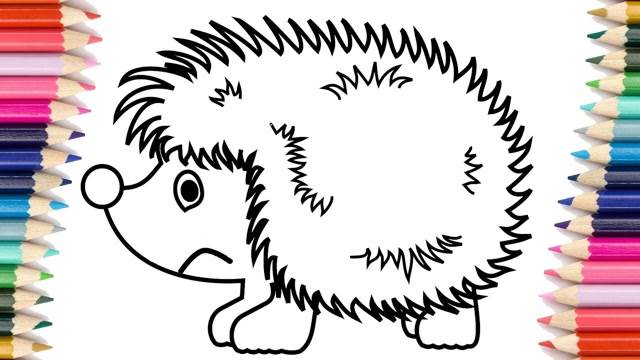 刺猬 简笔画